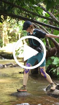 BIB:  <button type="button" onclick="openModal(27565171)" class="btn btn-primary btn-sm float-right" data-toggle="modal" data-target=".modal-high-quality">
                <i class="fa fa-download"></i> Download
                </button>